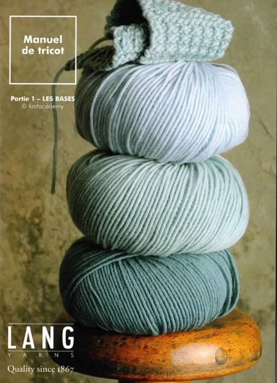 livre bases tricot debutant