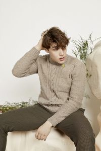 pull homme lang yarns