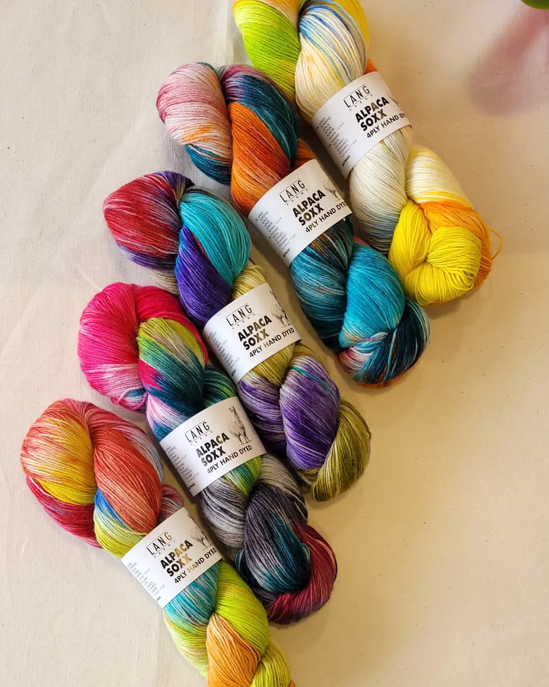 🧶🎈Laine Lang Yarns spéciale chaussettes Alpaca Soxx 4 Ply Hand Dyed🖐

Fabriquée et teinte à la main au Pérou.

Echeveau de 100 g. = 390 m.

🧦1 pelote = 1 paire de chaussettes.

🦙Composition: 70% alpaga, 30% polyamide easywash.

🪡Aiguilles n°2.5 - 3.5.

💧Grâce au traitement Easywash, la laine est lavable en machine sur programme laine. N'utilisant pas de substances chimiques nocives pour l'environnement, Easywash est un traitement enzymatique des fibres d'alpaga. Easywash est certifié Bluesign, Ökotex et Reach.

Disponible en plusieurs coloris au choix sur www.ladylaine.net.🌈

Bon mardi !😃
•
#ladylaine #langyarns #alpacalove #alpacasoxx4ply #alpacasofinstagram #alpacasoxx #handdyed #jetricote #laine #wool #alpaca #alpaga #mardi #tuesday #iloveknit #iloveknitting #yarnlove #yarnlover #yarn #wooladdict #picoftheday #photodujour #photooftheday #langyarns_official #langyarnsalpacasoxx #diytricot #doityourself #diy