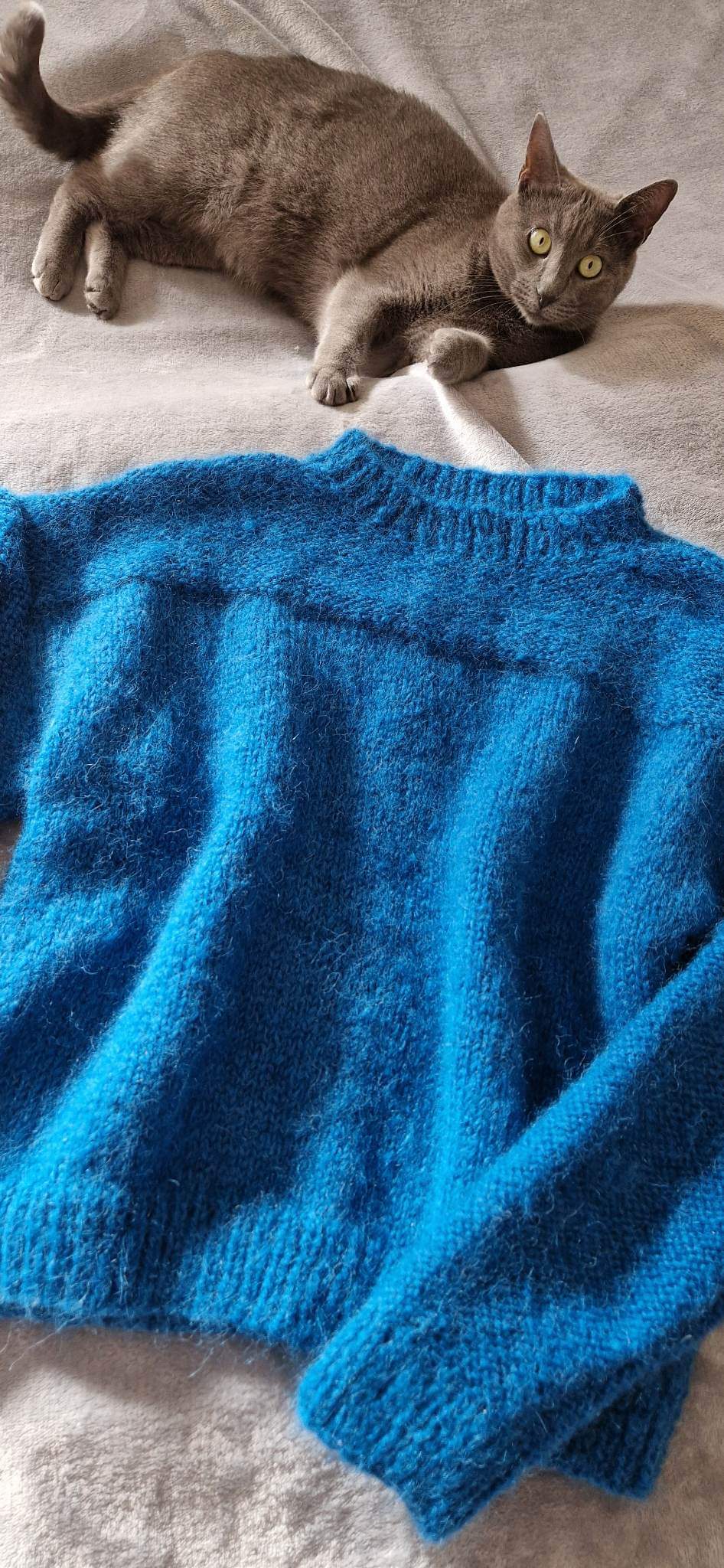 pull laine Honor de Wooladdicts