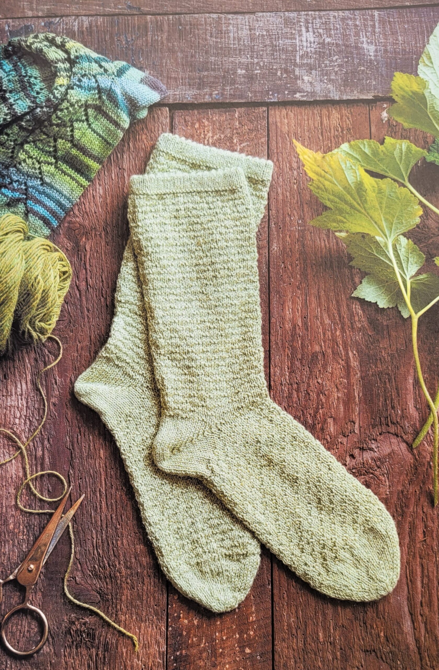 Livre Je tricote des chaussettes de Frédérique Alexandre Editions Marie Claire