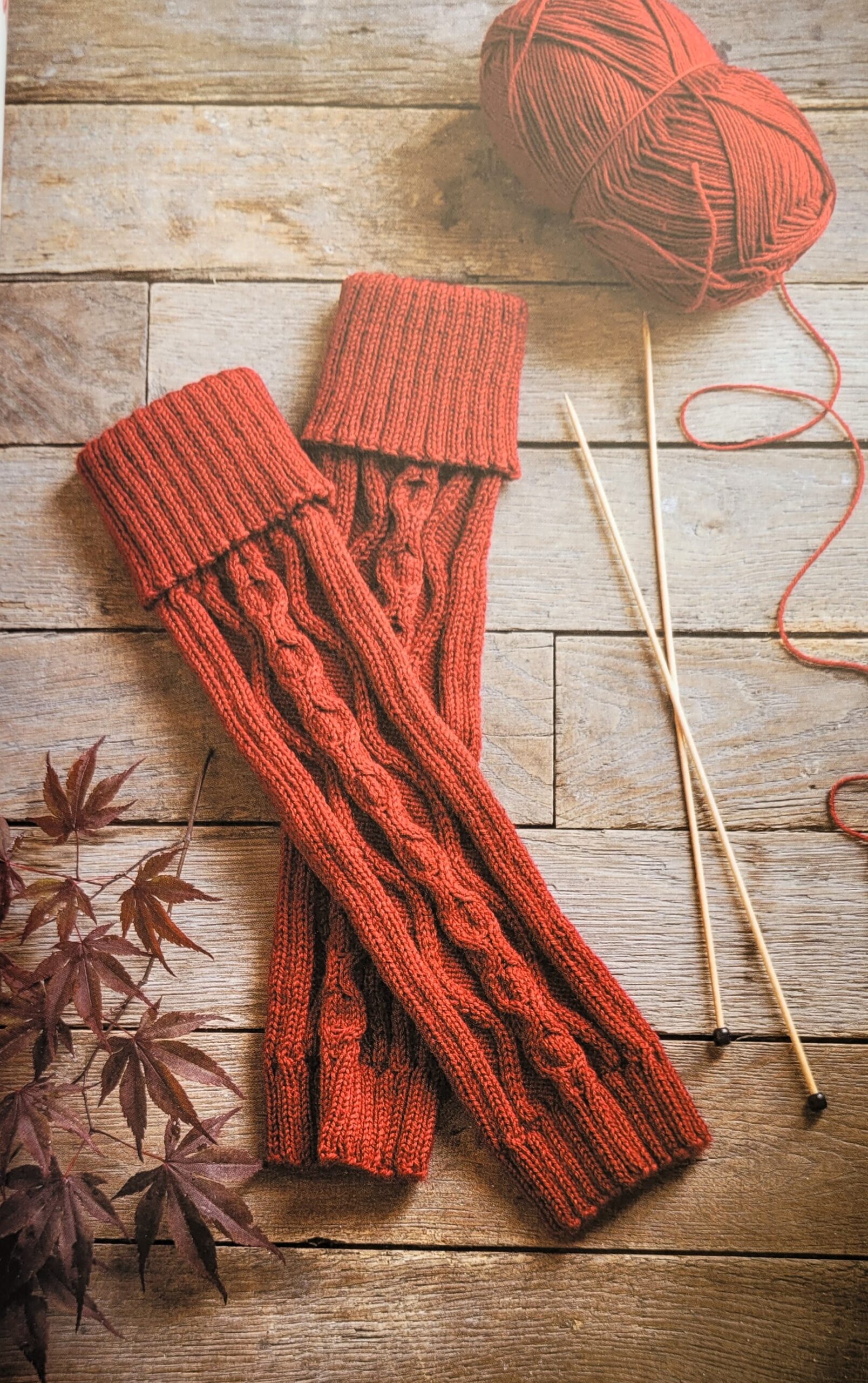 Livre Je tricote des chaussettes de Frédérique Alexandre Editions Marie Claire