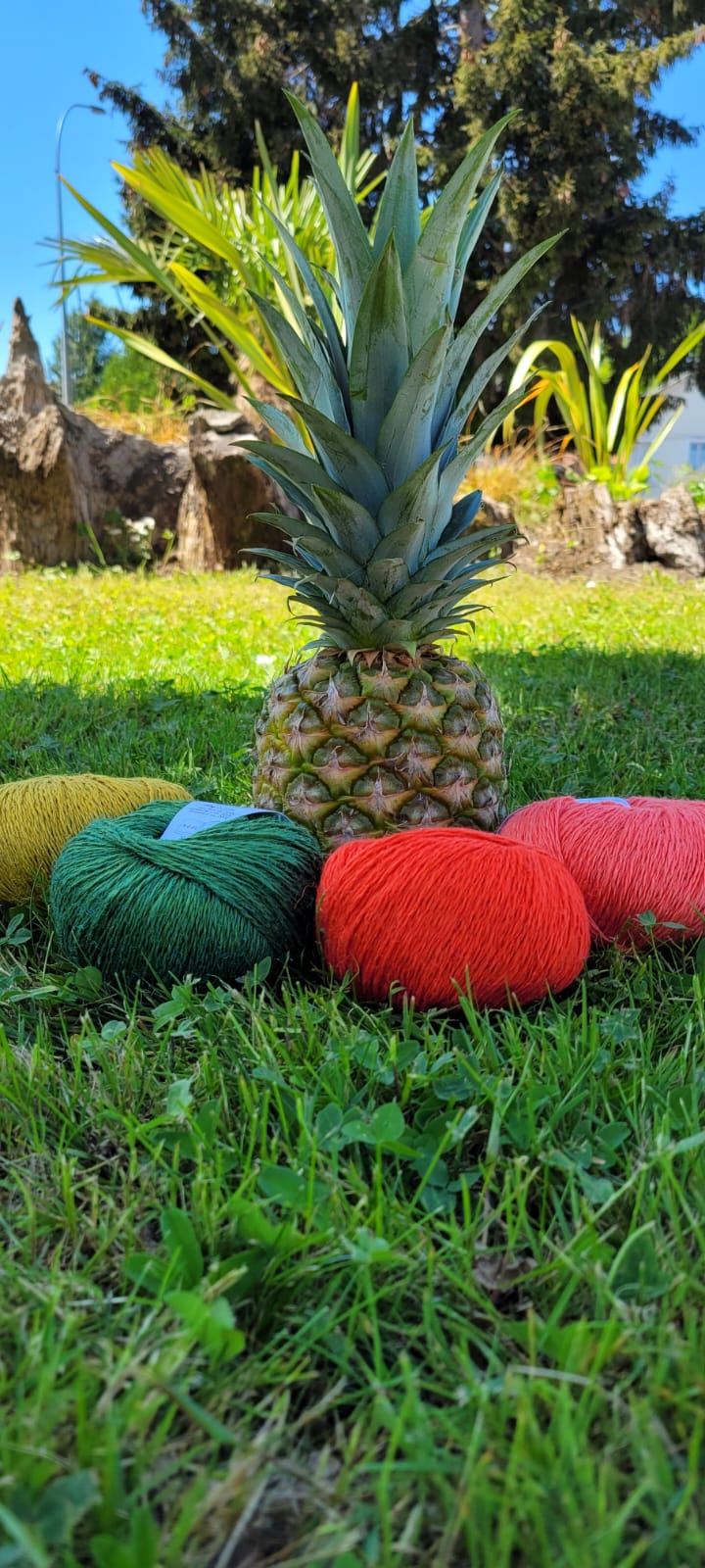 ananas lang yarns