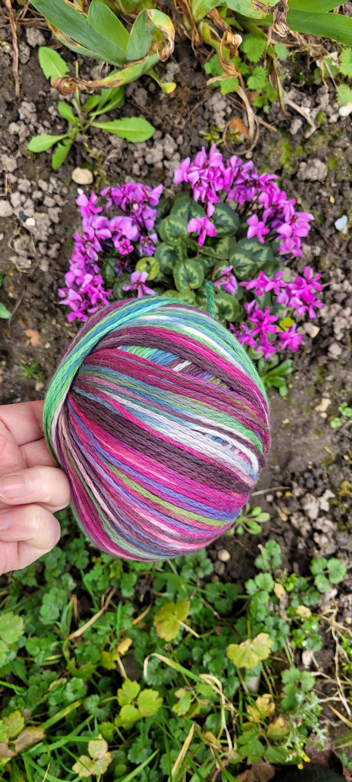 lisboa lang yarns