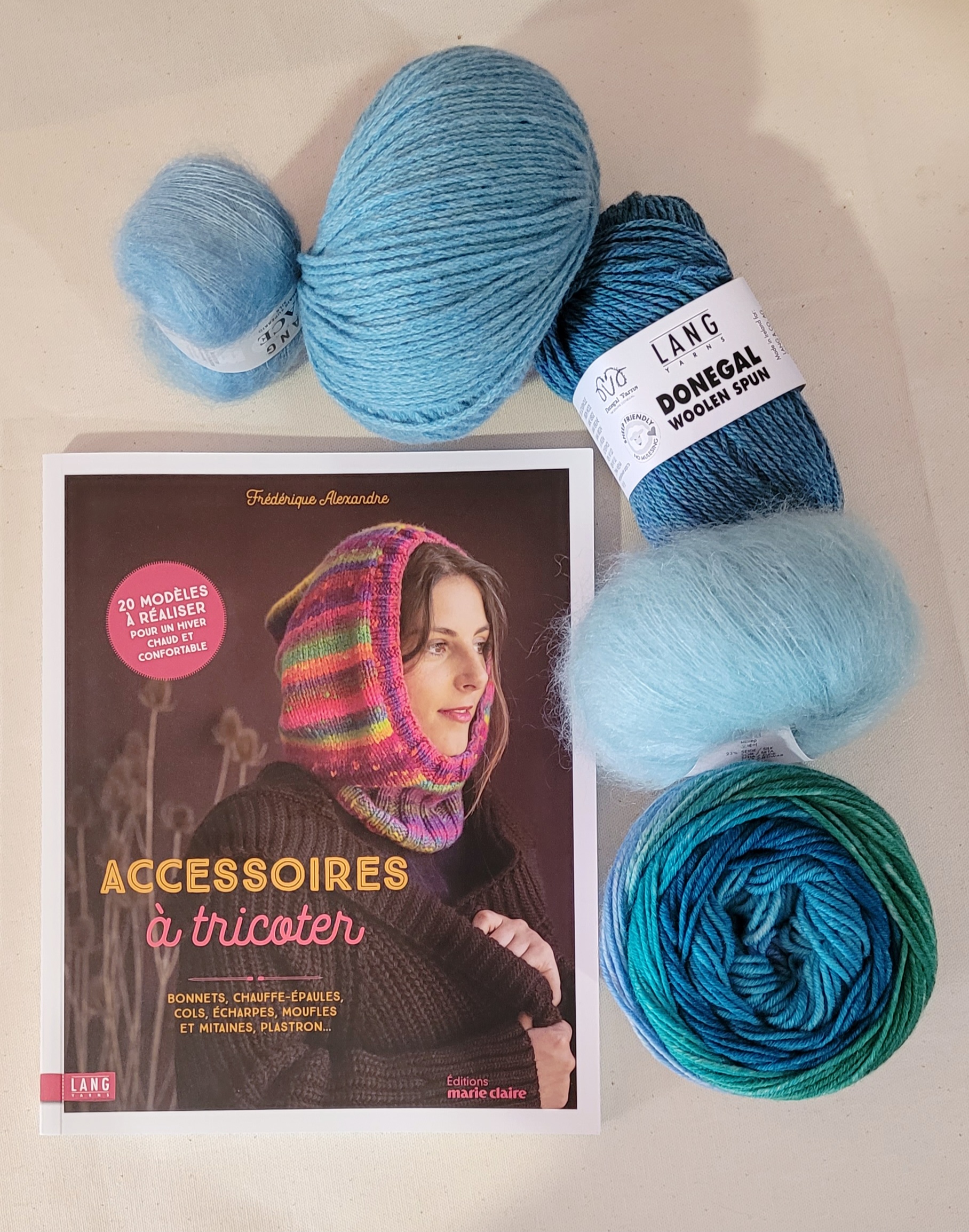 Livre accessoires à tricoter frédérique alexandre laines lang Yarns Editions Marie Claire