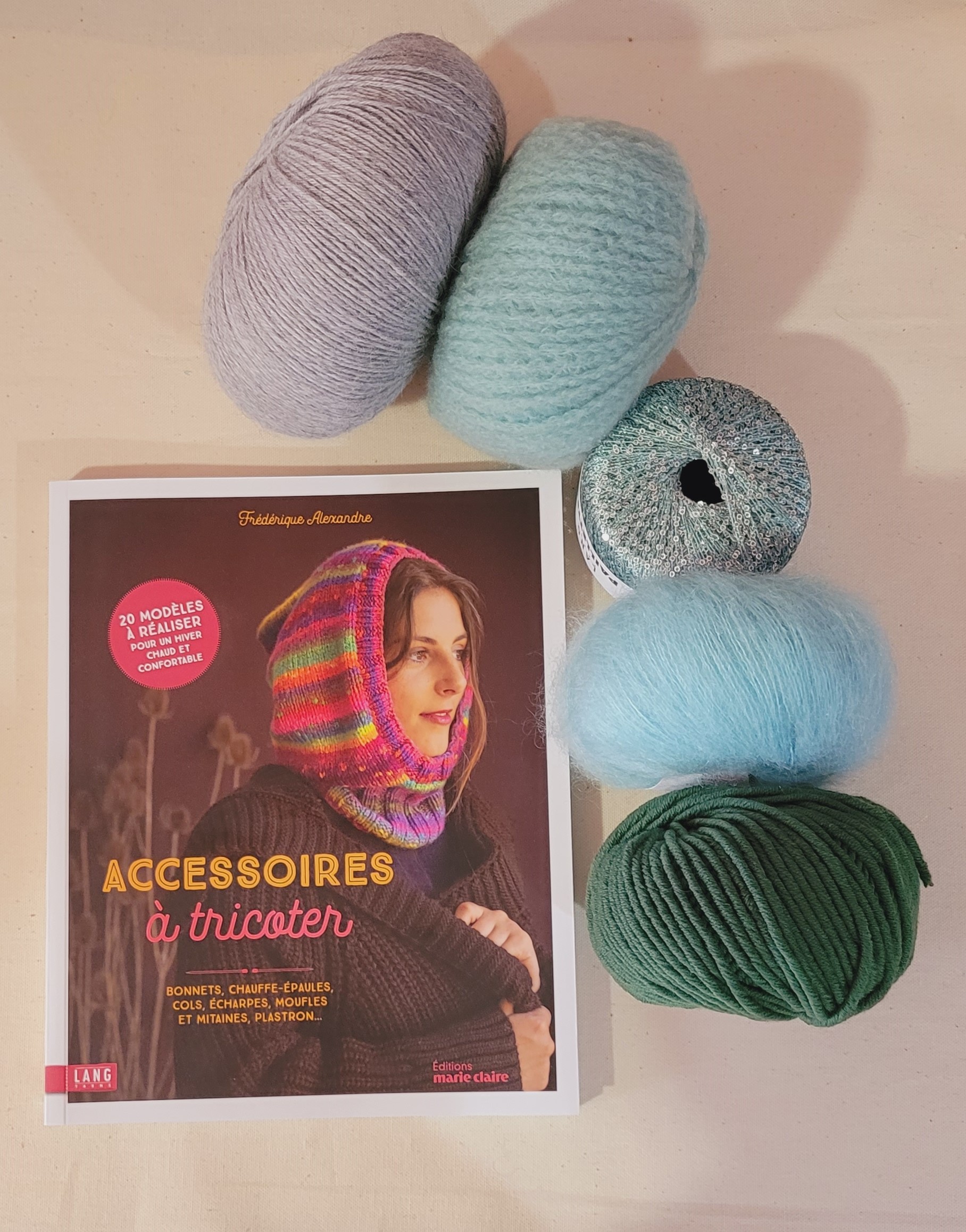 Livre accessoires à tricoter frédérique alexandre laines lang Yarns Editions Marie Claire