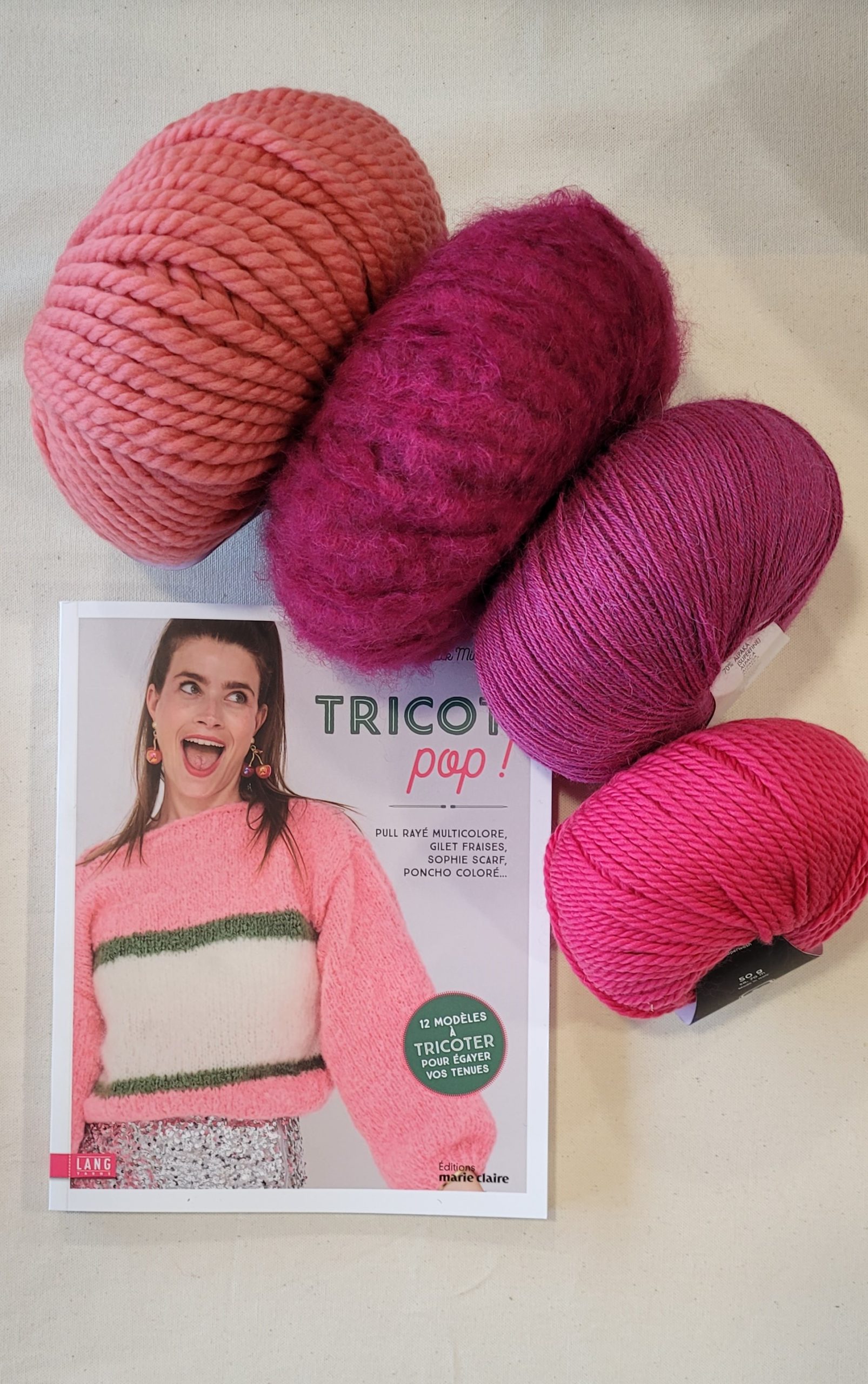 livre tricot pop annick michalon